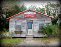 Hazels Cafe 2025