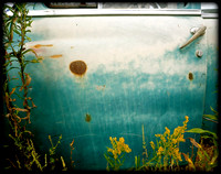 Country Landscape, 2012