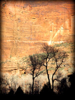 Zion Canyon, Utah  2014