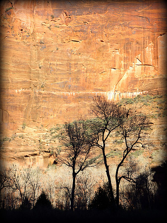 Zion Canyon, Utah  2014