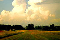 Going Up the Country, MN 2007
