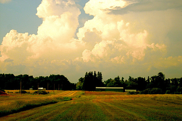 Going Up the Country, MN  2007