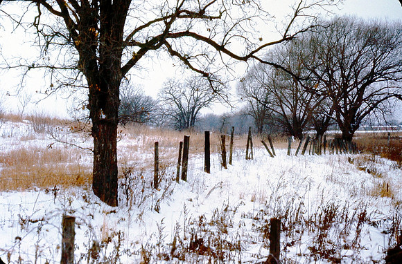 Winter Landscape, River Falls, WI 1974