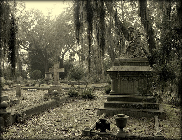 Reflecting, Bonaventure Cemetery, Savanna, GA, 2017