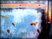 Automotive Abstractions Gallery