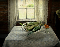 Sweet Corn Still Life, 2015