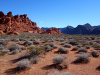 Valley of Fire, NV  2015