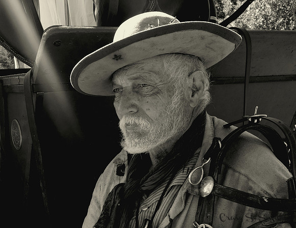The Teamster, 2016