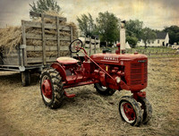 Farmall Little B, Nowthen Threshing Bee, 2017