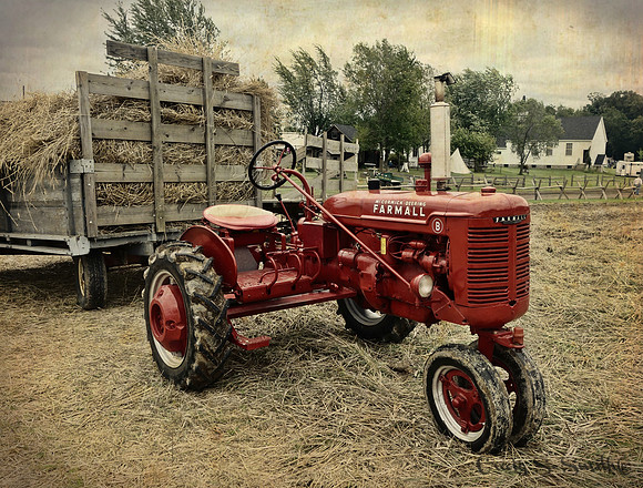 Farmall Little B, Nowthen Threshing Bee, 2017