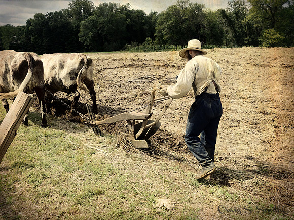 Plowing Away II, Nowthen Threshing Bee, MN 2015