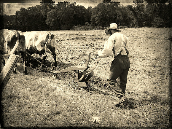 Plowing Away, Nowthen Threshing Bee, MN 2015