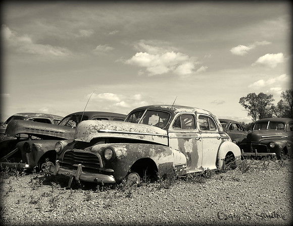 Junkyard Summer, French Lake, MN  2015
