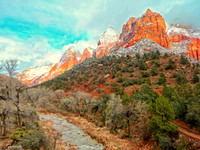Zion National Park, UT  2015