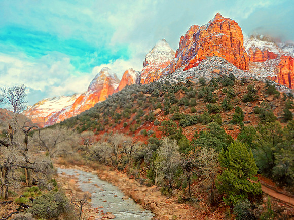 Zion National Park, UT  2015