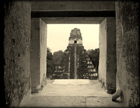 Looking Out of the Great Pyramid, Tikal, Guatemala 1988