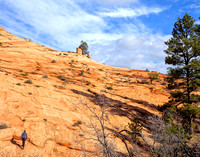 Climbing the Slickrock, Zion National Park, UT  2014