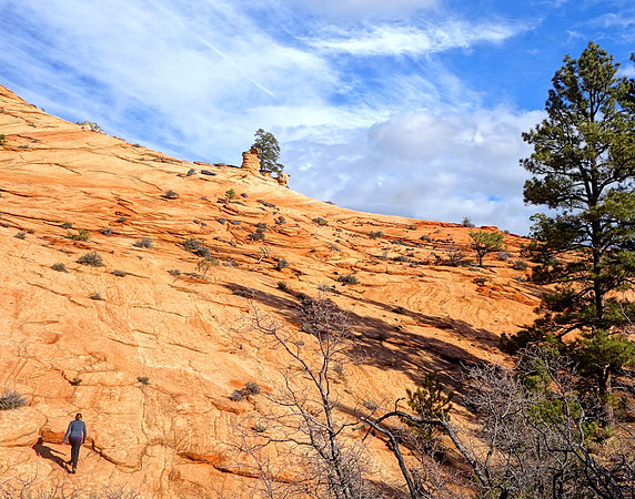 Climbing the Slickrock, Zion National Park, UT  2014